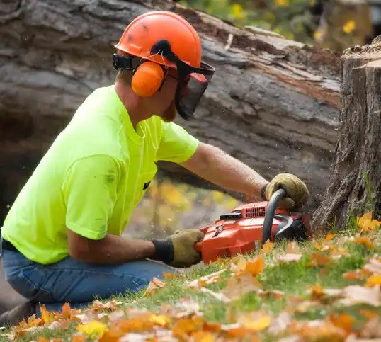 tree services Mendenhall